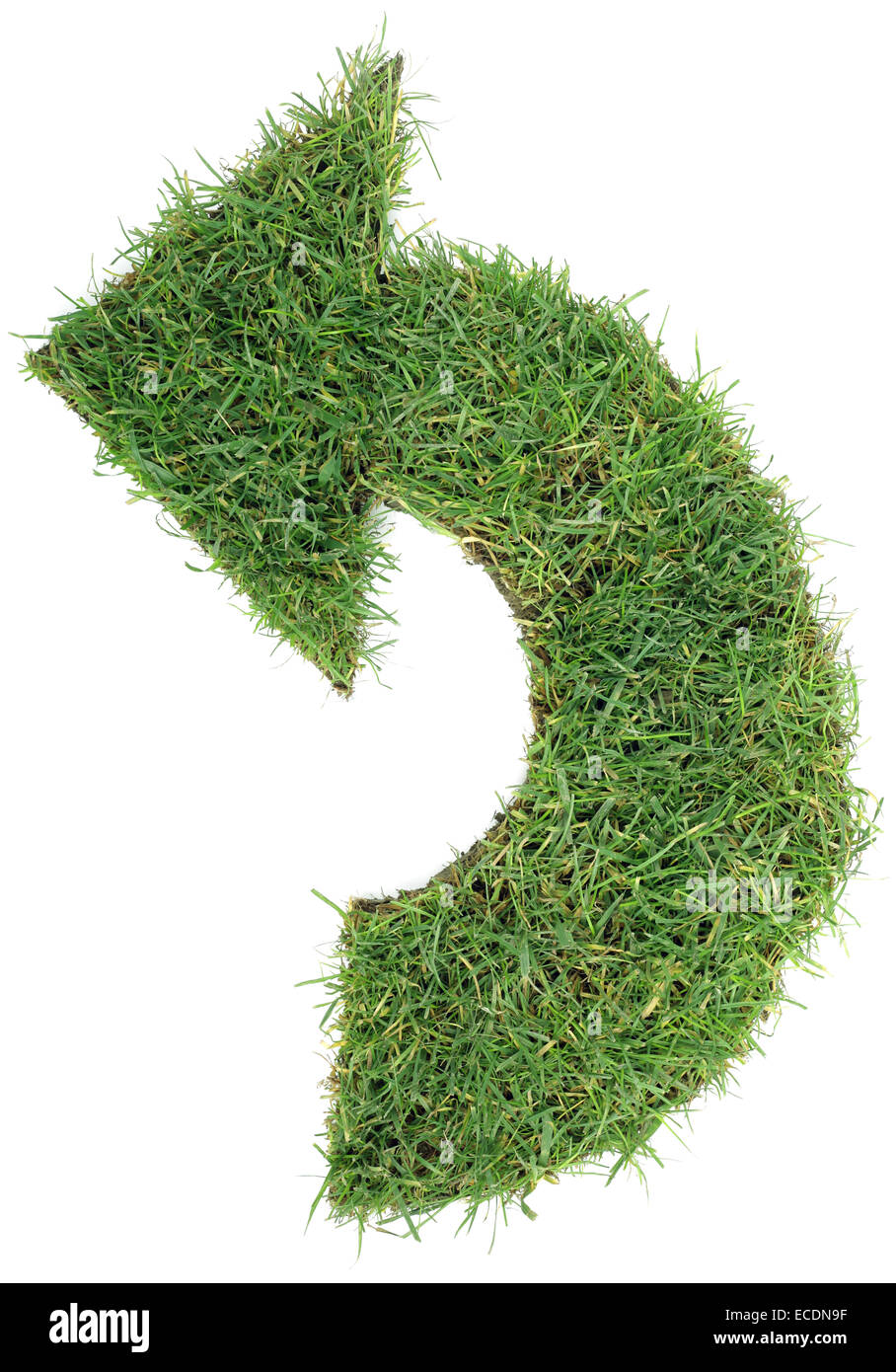 Ecological Green Grass Arrow Isolated on White Background Stock Photo