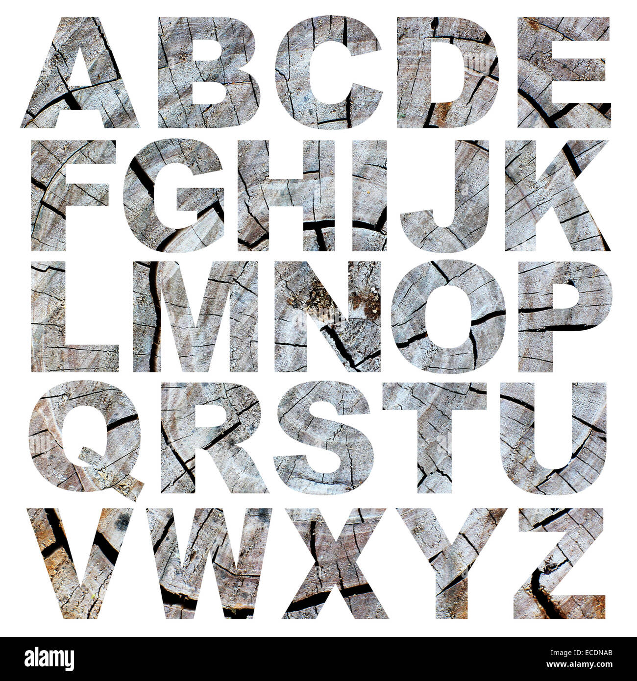 alphabet a to z made from tree bark picture Stock Photo