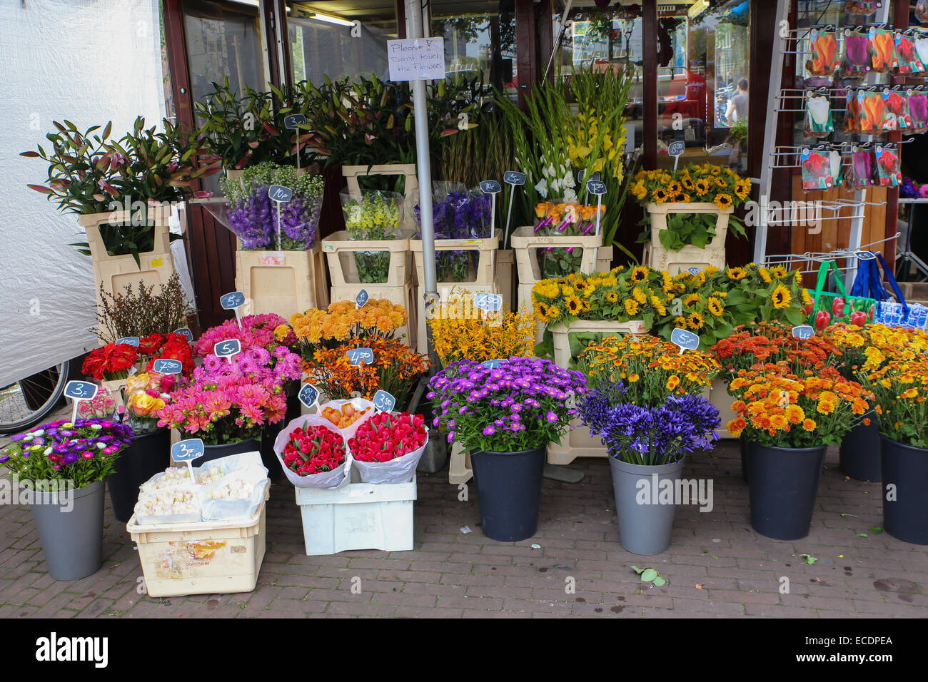 amsterdam flower shop Stock Photo
