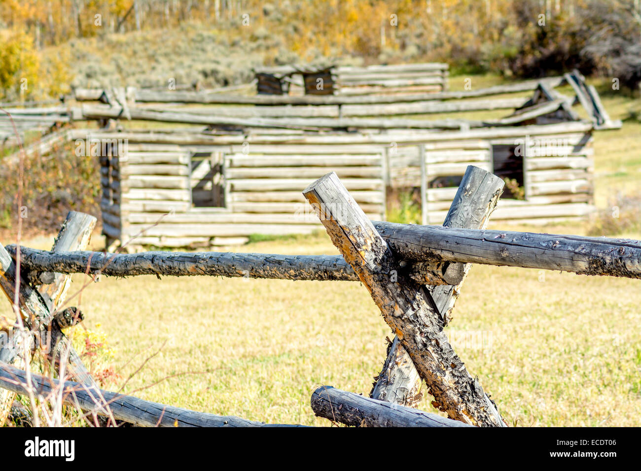 Log fence and old rotting cabins in Wyoming Stock Photo - Alamy