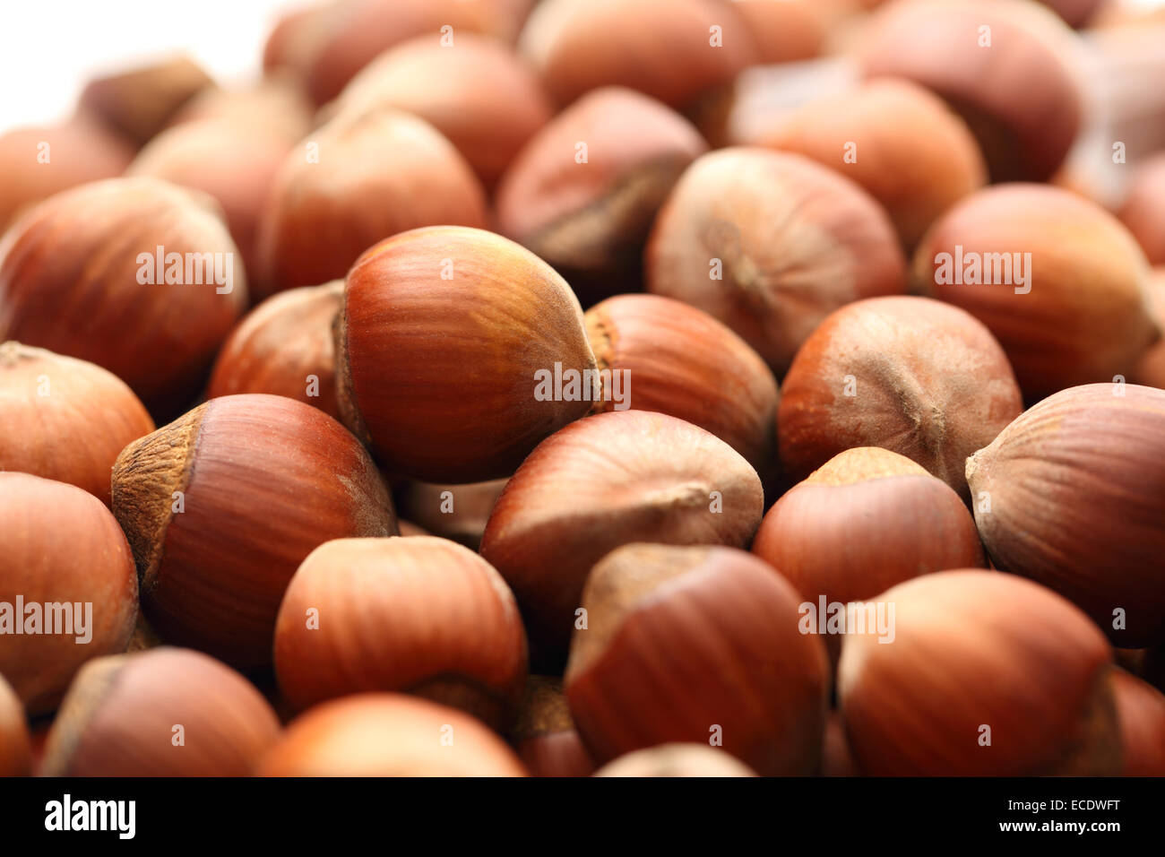 Fresh brown hazelnut as background Stock Photo