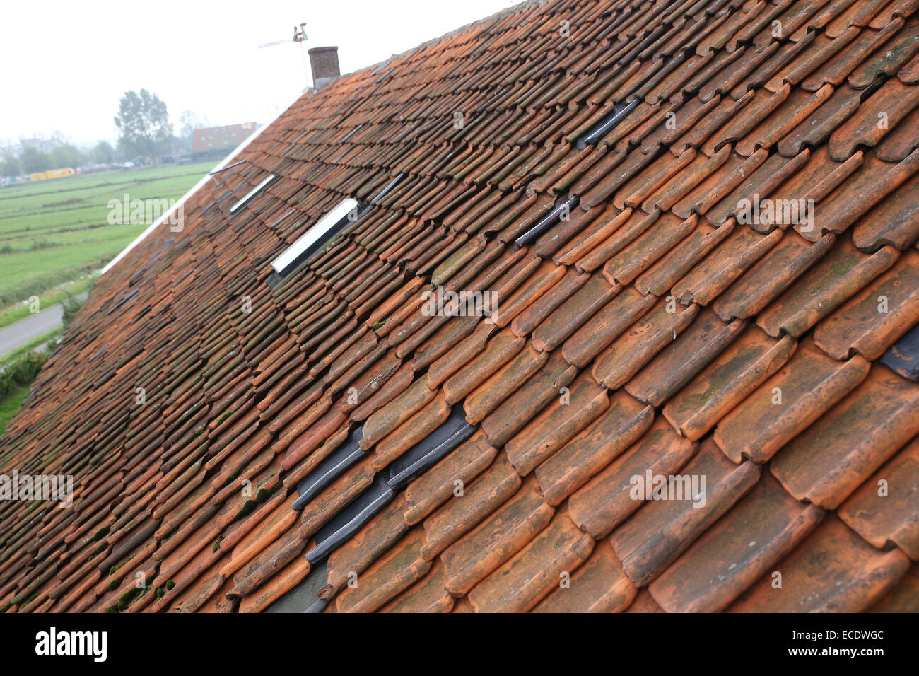 Holland windmill roof top Stock Photo