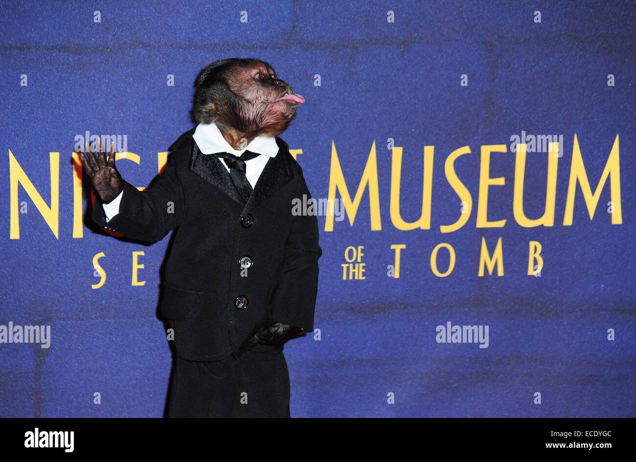 New York, NY, USA. 11th Dec, 2014. Crystal the Monkey at arrivals for NIGHT AT THE MUSEUM: SECRET OF THE TOMB Premiere, Ziegfeld Theatre, New York, NY December 11, 2014. Credit:  Gregorio T. Binuya/Everett Collection/Alamy Live News Stock Photo
