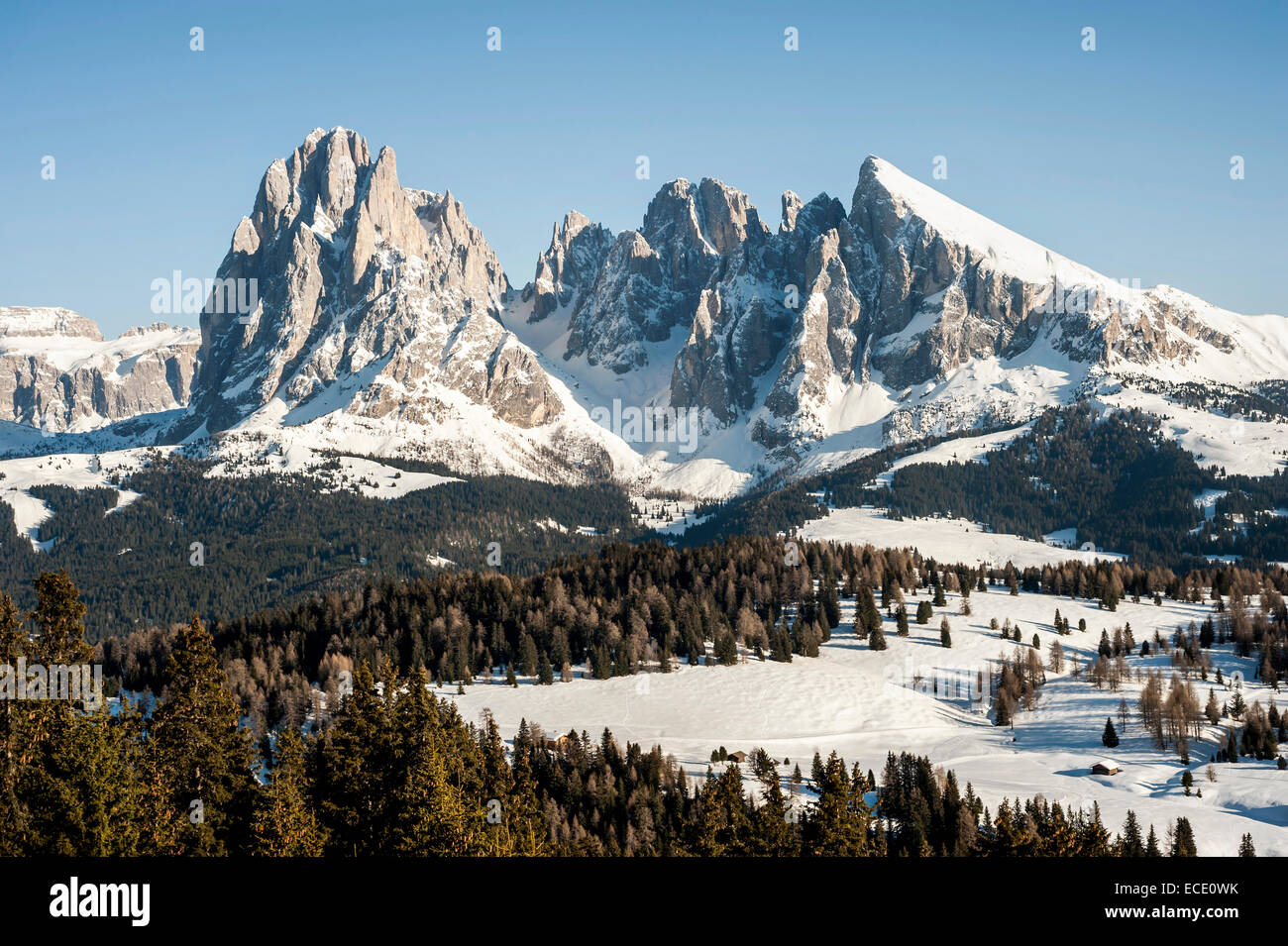 View of Langkofel and Plattkofel  mountains, Santa Cristina, Valgardena, Alto Adige, Italy Stock Photo