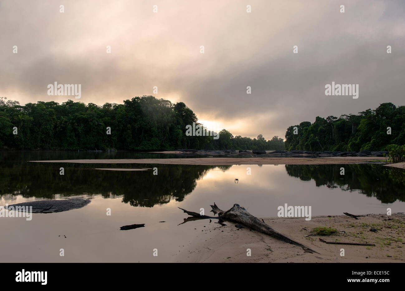 Serene tranquility at sunset: the Suriname River in Upper Suriname, a wild stream bordered by rainforest. Stock Photo