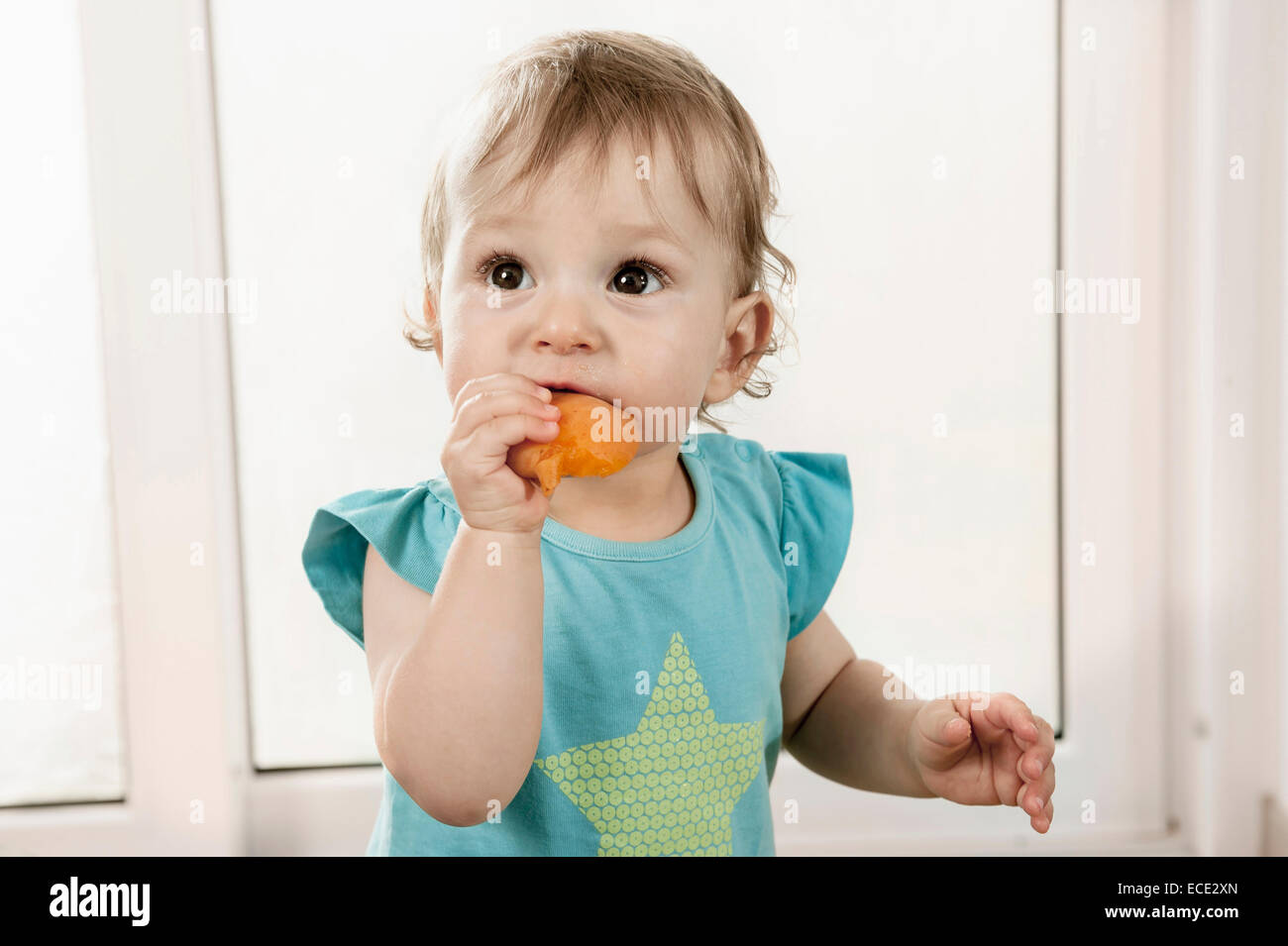 1 year old baby girl holding eating fruit Stock Photo