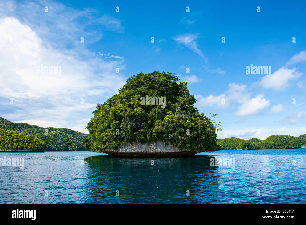 Islet, Rock Islands, Palau, Micronesia Stock Photo