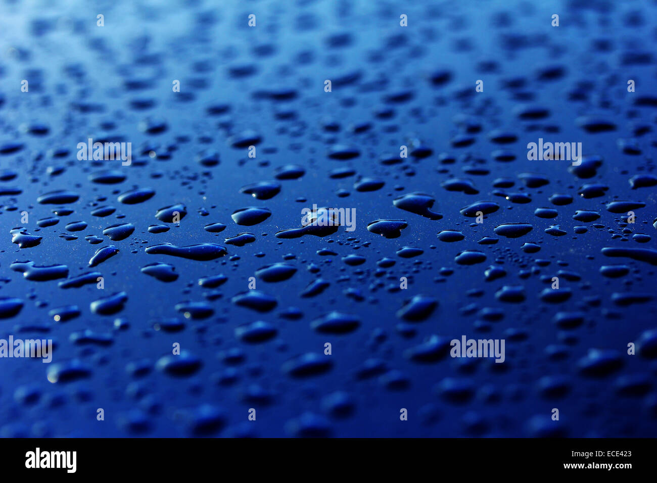 Raindrops on a car roof, Germany Stock Photo