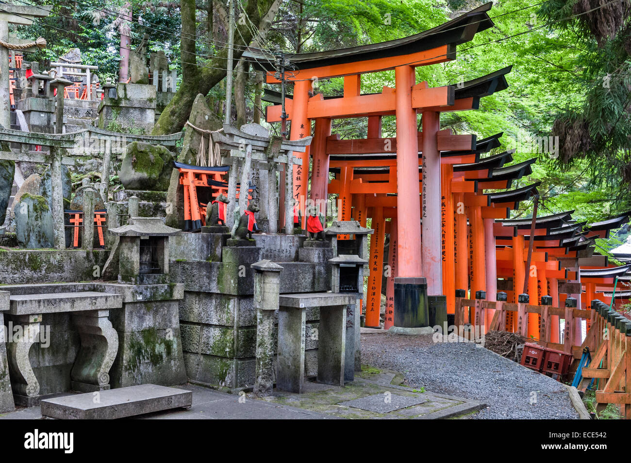 Kyoto, Japan. Many hundreds of red torii gates line the mountainside at  Fushimi Inari-taisha, the principal shrine of Inari Stock Photo - Alamy