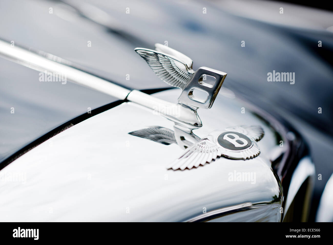 Bentley bonnet badge Stock Photo - Alamy