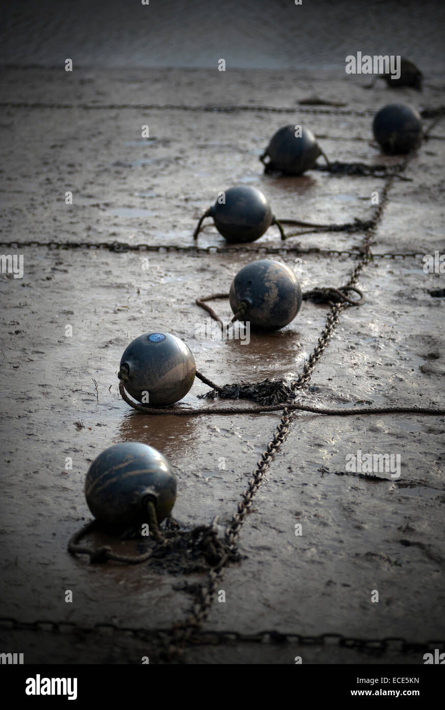 mooring chain buoys at morston quay, norfolk england Stock Photo Alamy