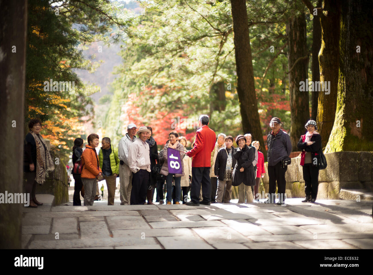 Tour group guide at Tōshō-gū, Nikko, Japan. Stock Photo