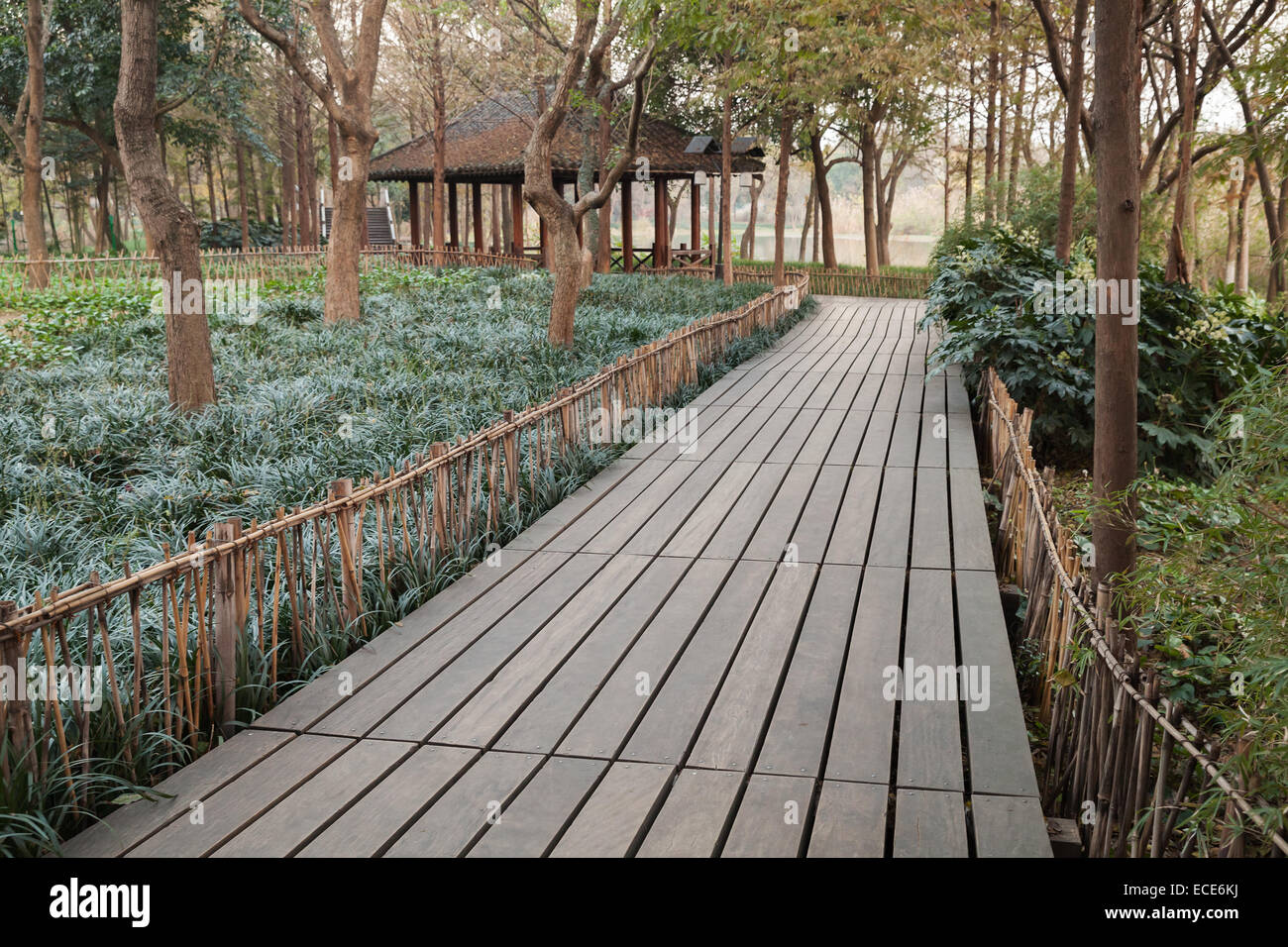 Wooden pathway perspective. Walking around famous West Lake park in Hangzhou city center, China Stock Photo