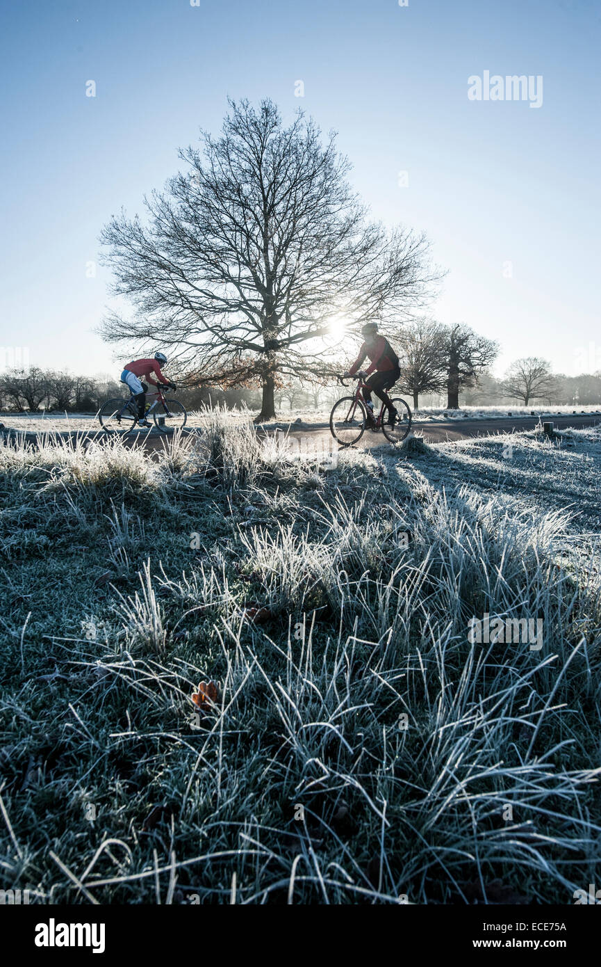 Cold cycle hires stock photography and images Alamy