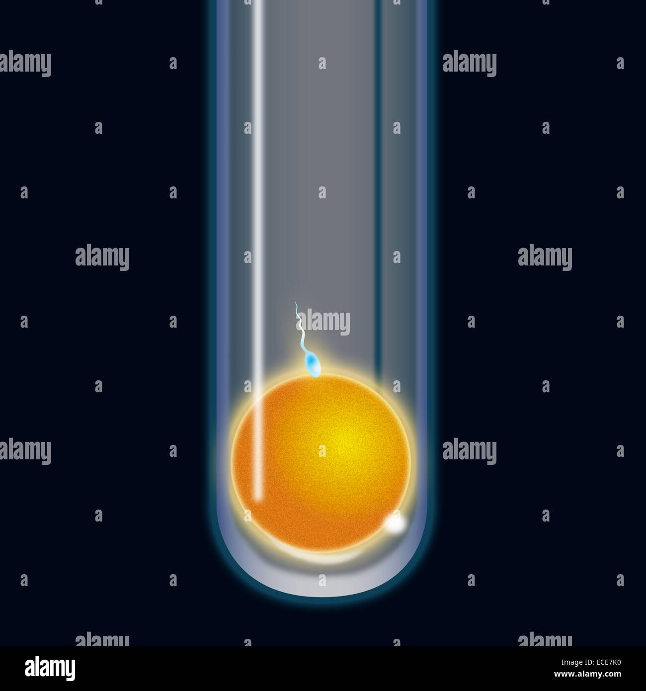 IVF test tube baby Stock Photo