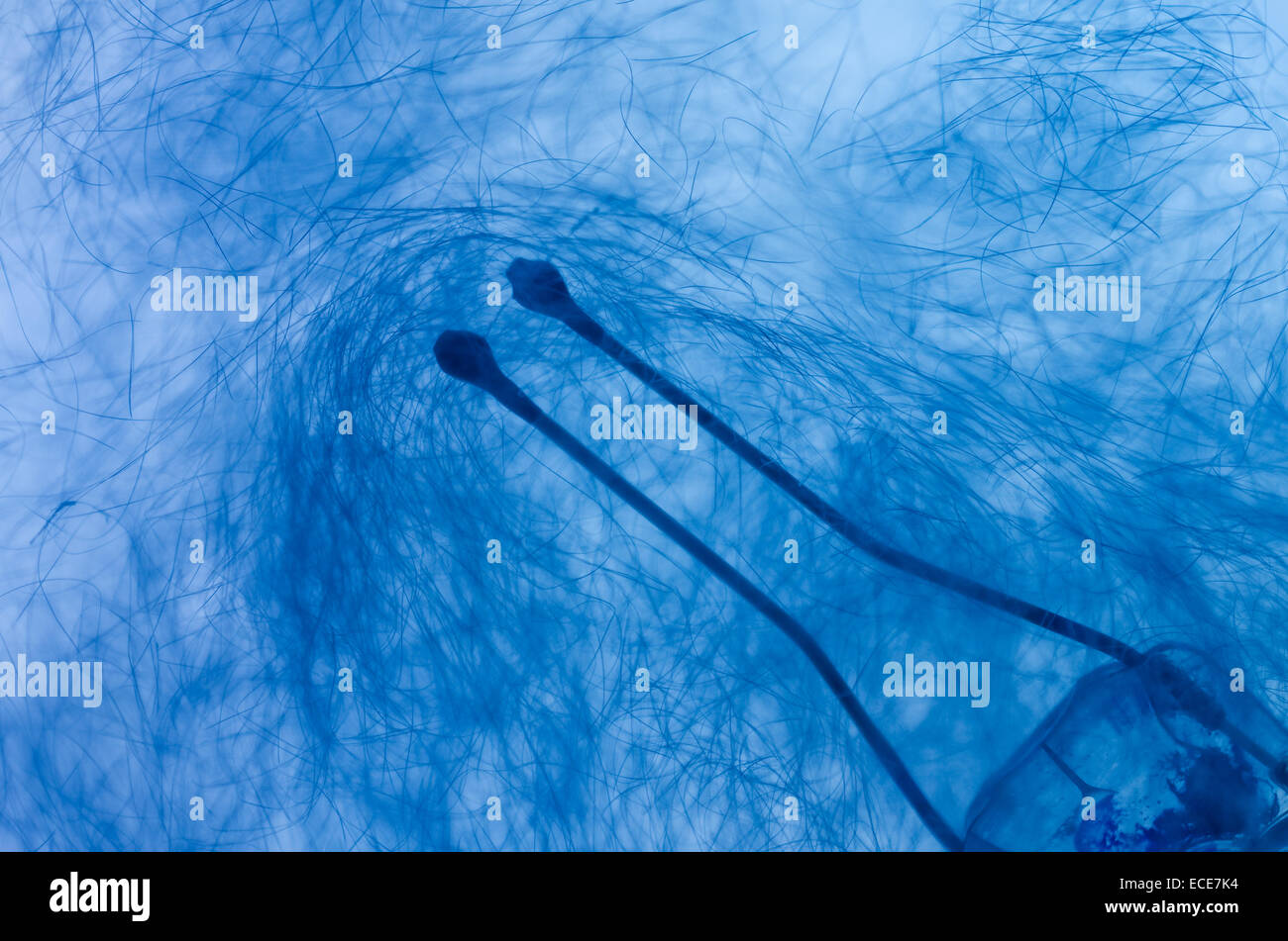 Old fashioned concept for flash light bulb filled with thin strands of aluminium wire in screw thread fitting Stock Photo