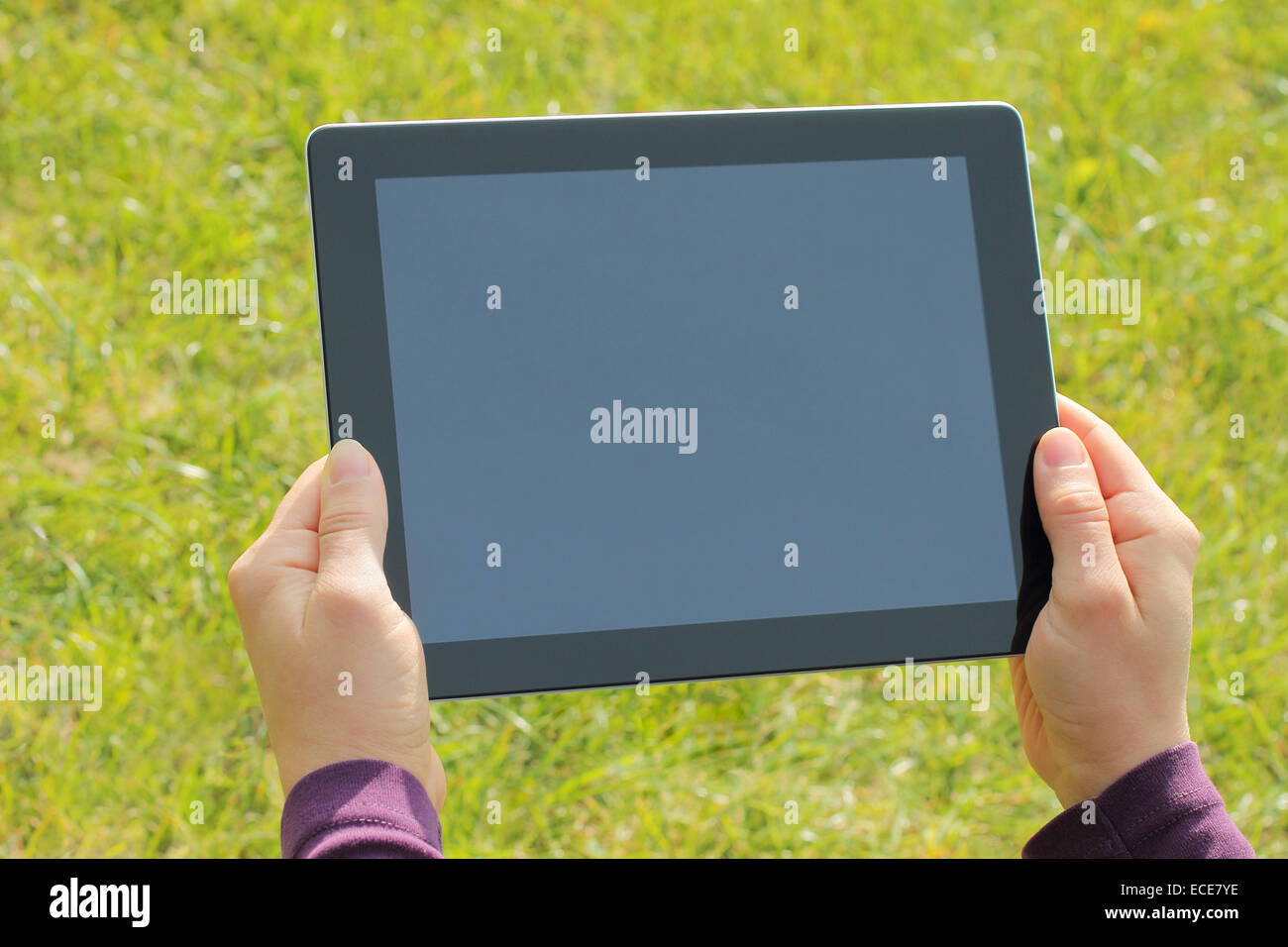Woman hands holding tablet PC on green grass background Stock Photo