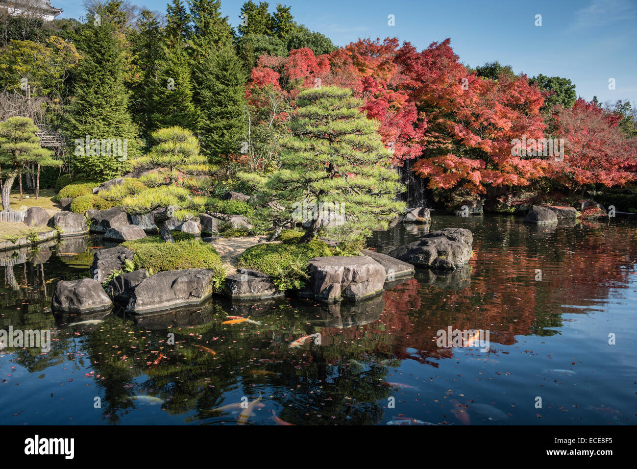 Japanese garden next to Himeji Castle, Himeji, Japan Stock Photo - Alamy