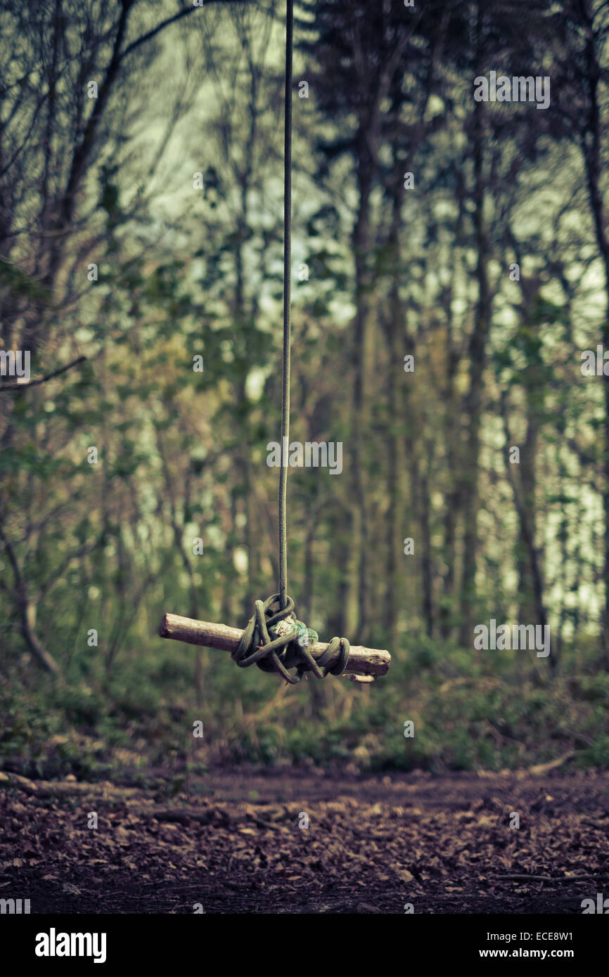 Rope swing in forest Stock Photo