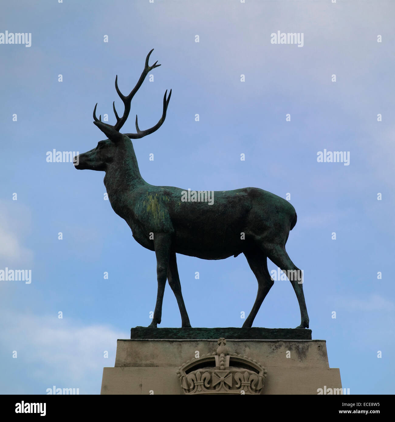 Stag statue in parliment square hertford Stock Photo
