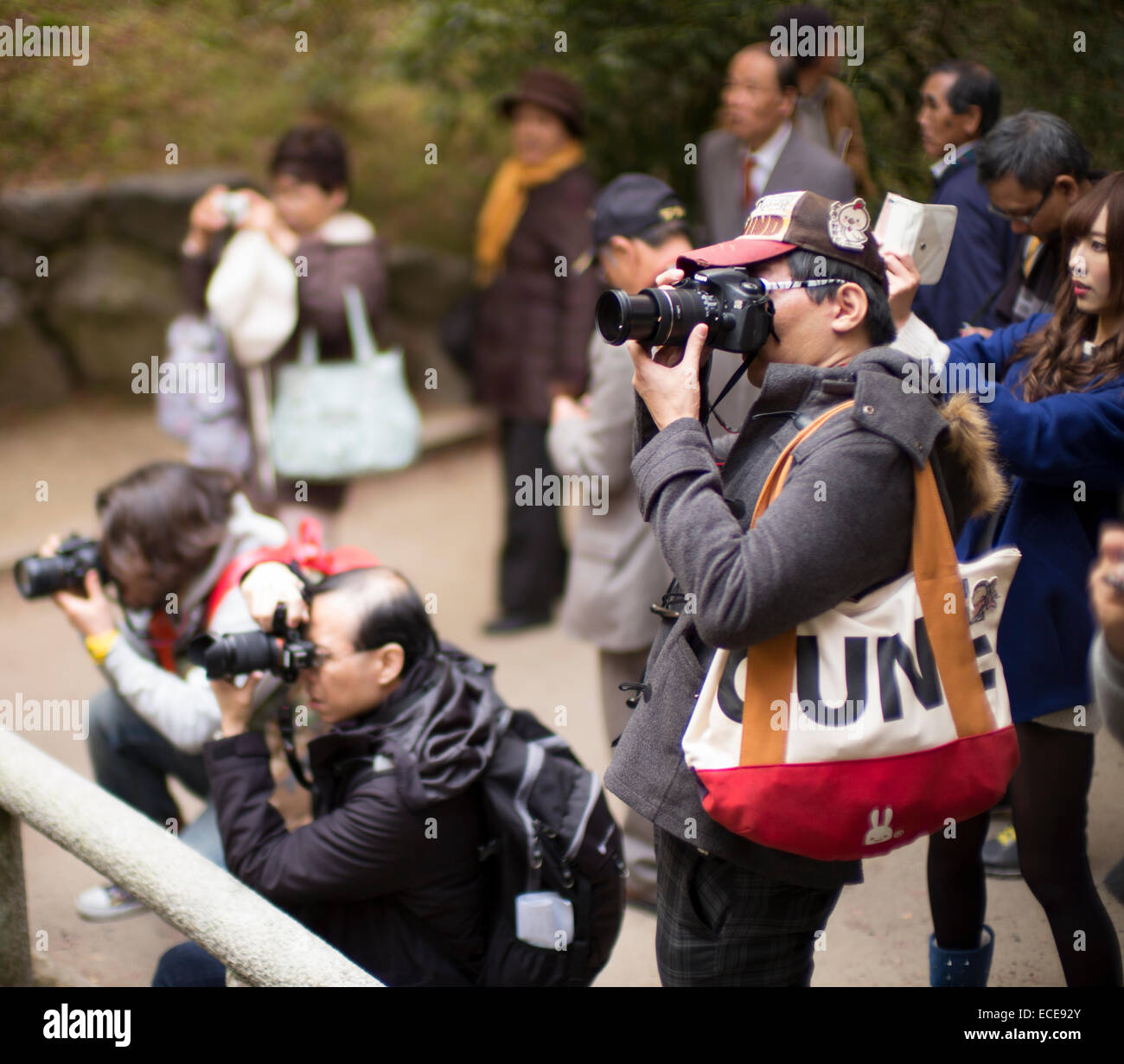 Photographers capturing the autumn color in Kyoto, Japan. Stock Photo