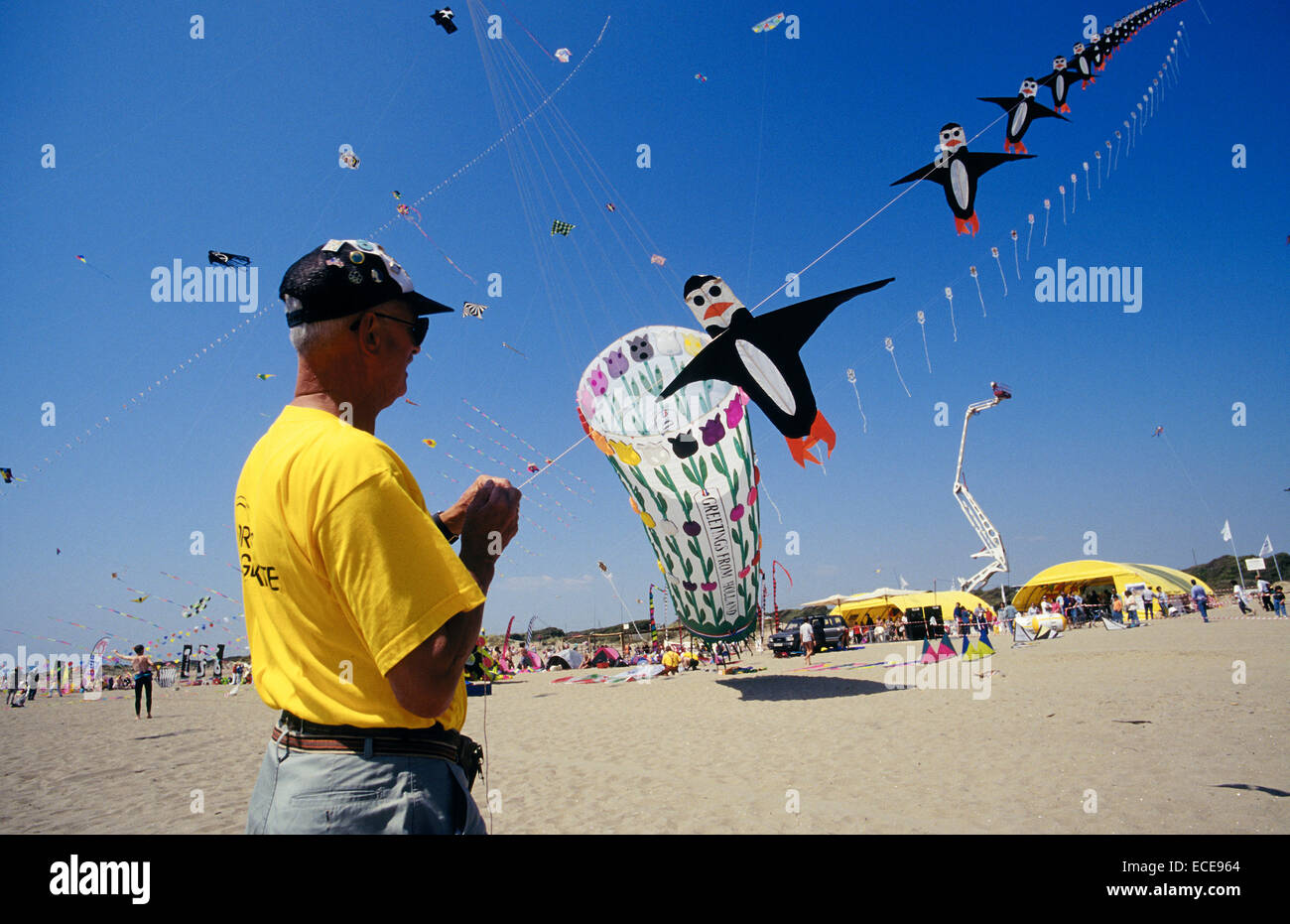 europe, italy, lazio, ostia beach, international kites meeting, a passionate about kites, pinguin-shaped kite Stock Photo