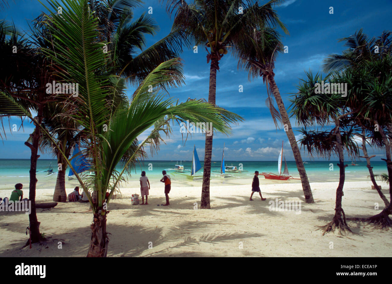 Landscape with palm trees. Bankas in White beach. Boracay. Philippines. Boracay Beach / Palm Trees & Sand, Boracay Island, Phili Stock Photo