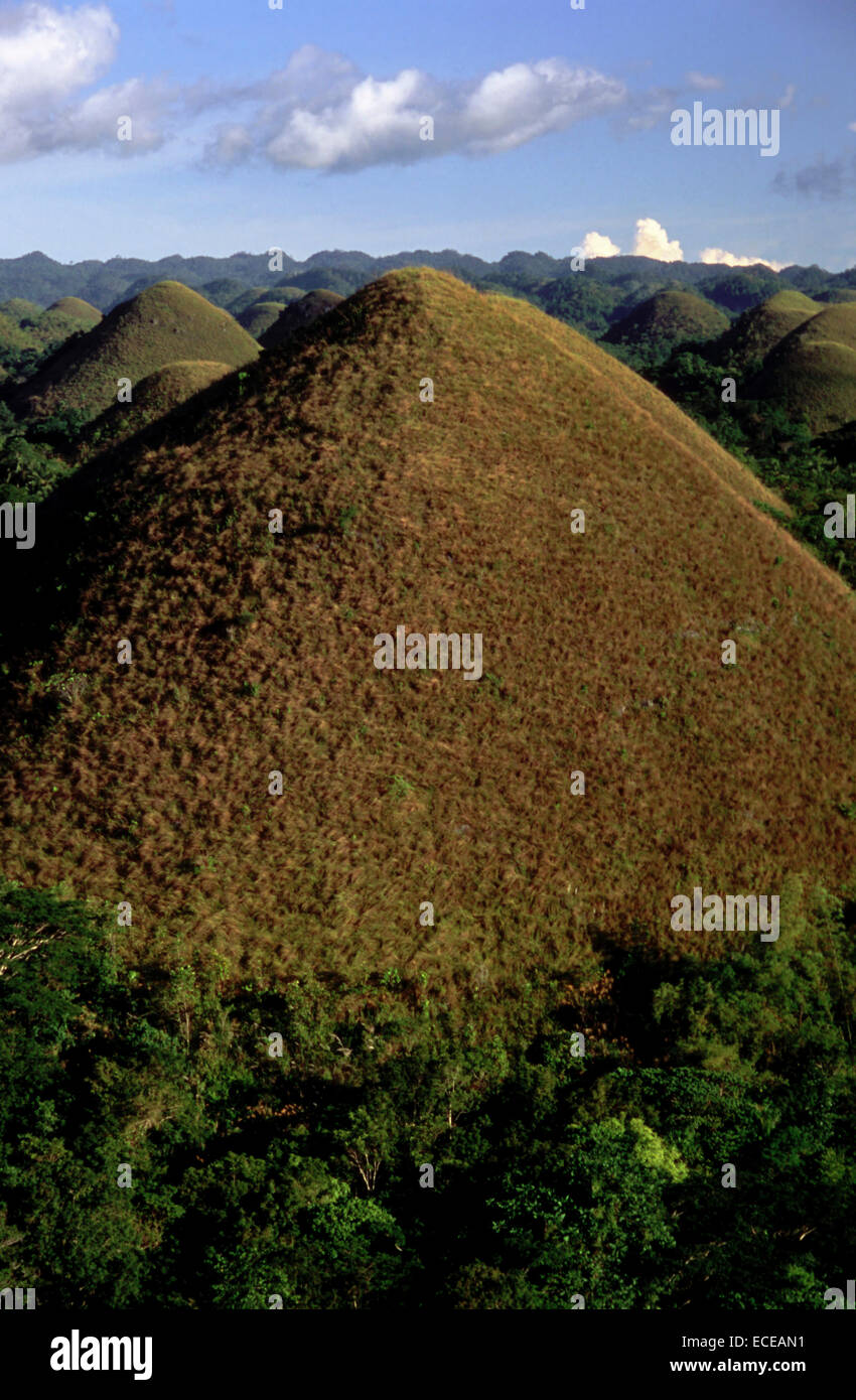 Mountains Chocolate Hills. Bohol. The Visayas. Philippines. The