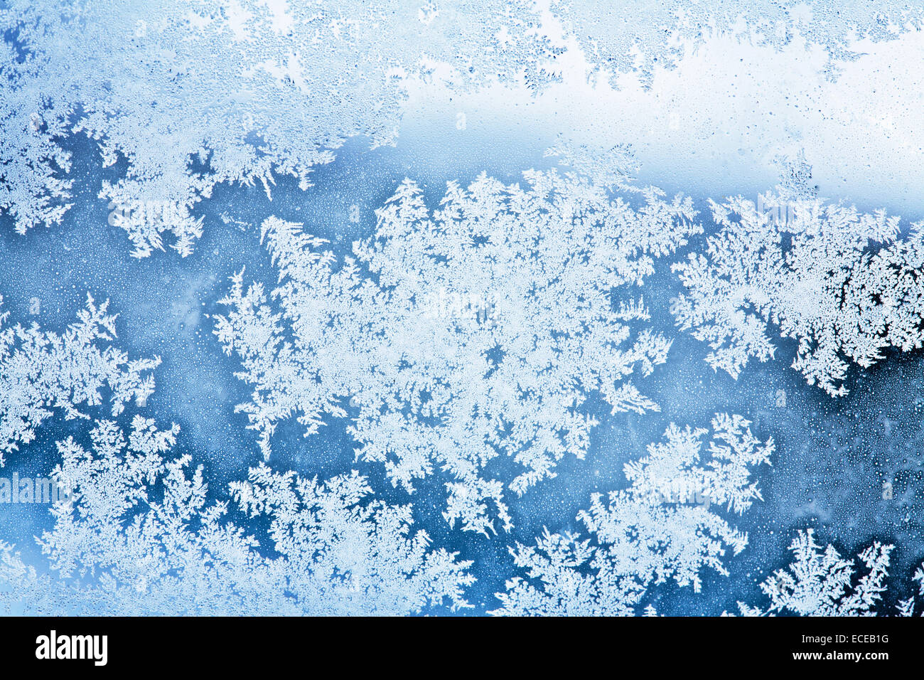 Rime ice hi-res stock photography and images - Alamy