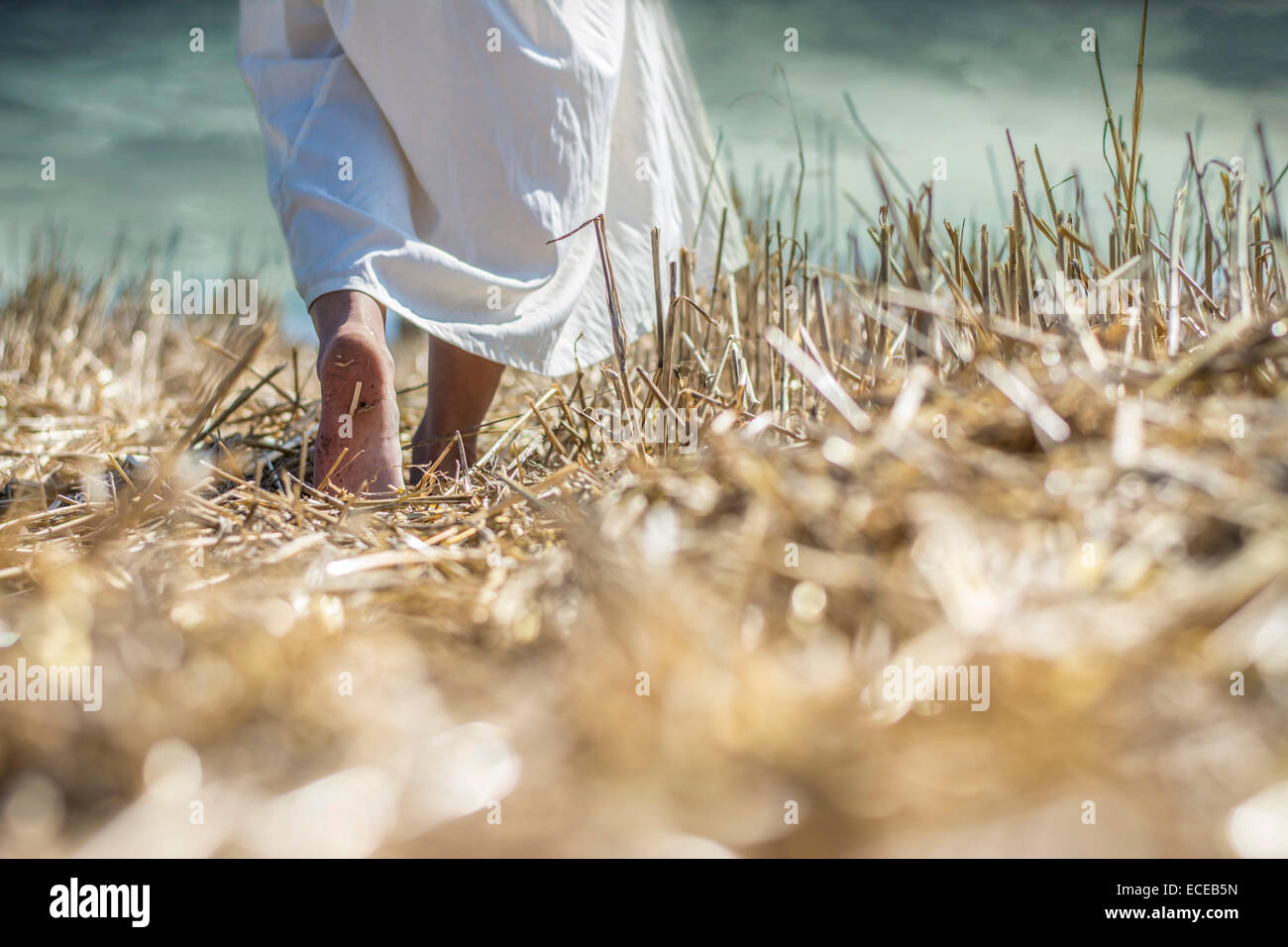 Close-up of a young woman walking barefoot through a field Stock Photo