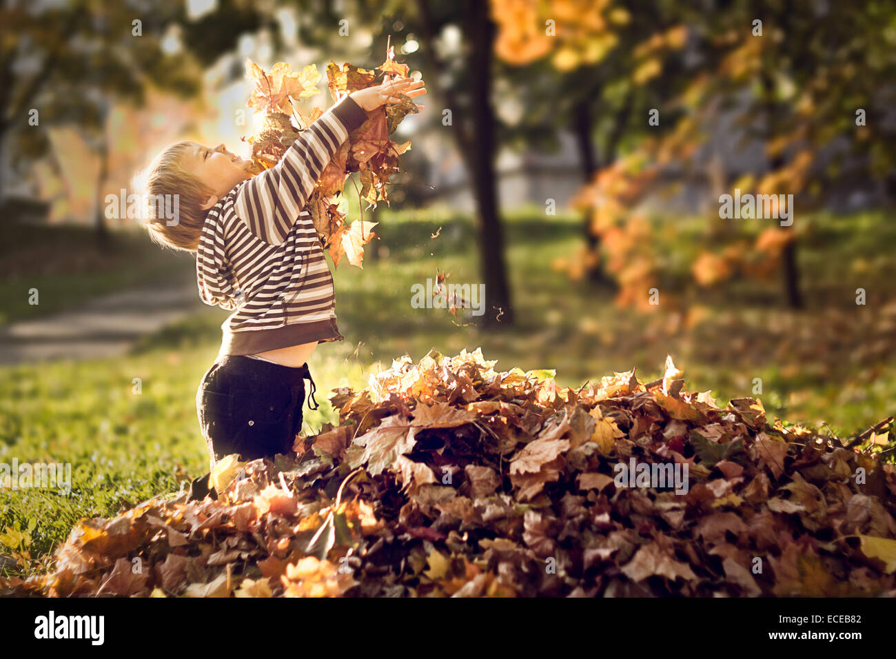 Boy playing with autumn leaves Stock Photo - Alamy