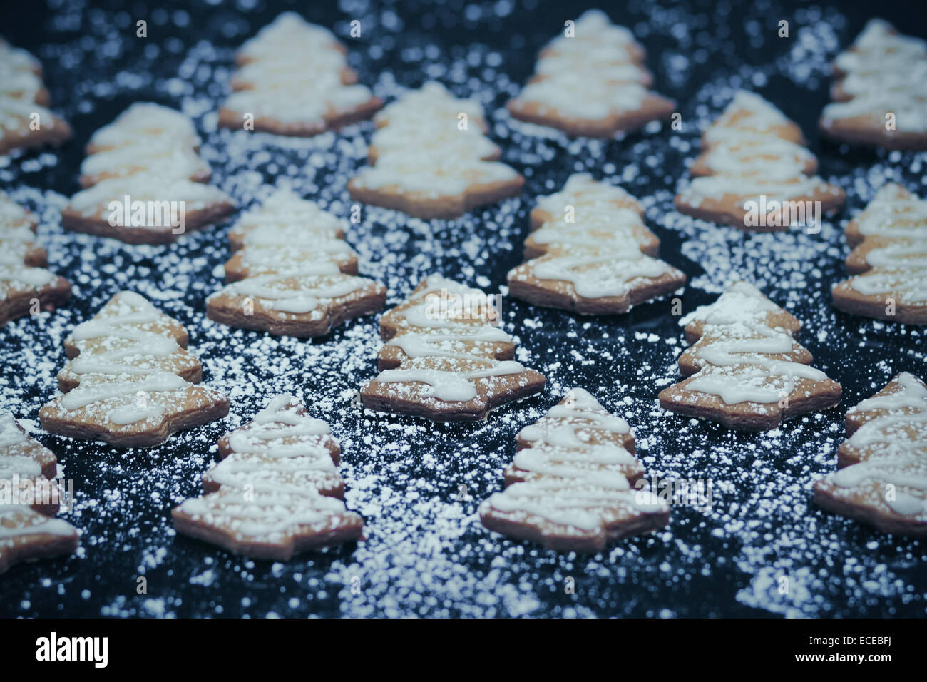 Rows of iced Christmas tree cookies with icing sugar Stock Photo