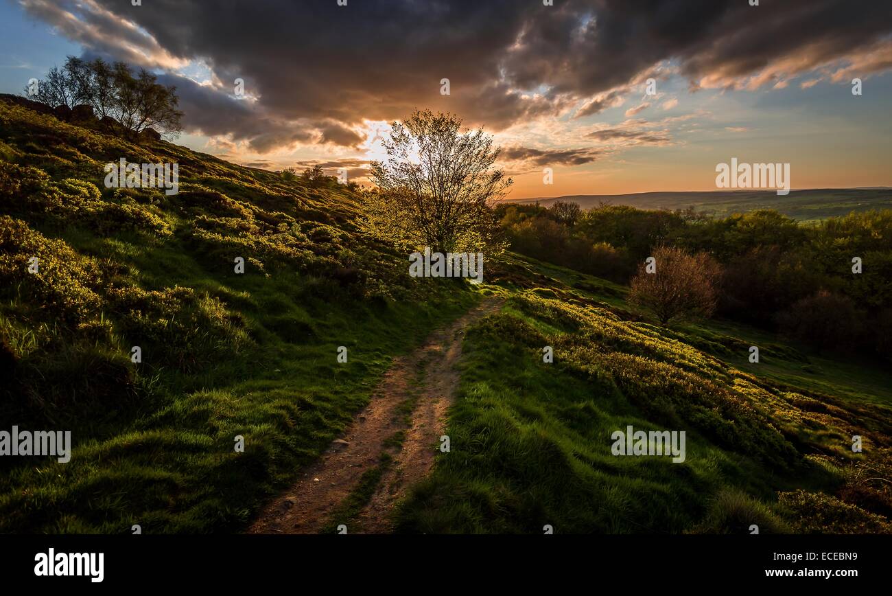 UK, England, Yorkshire, Path into sunset Stock Photo