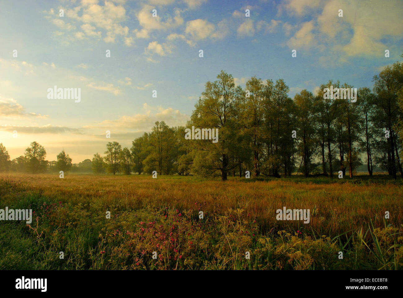 Autumn landscape, Glimmen, Haren, Groningen, Netherlands Stock Photo