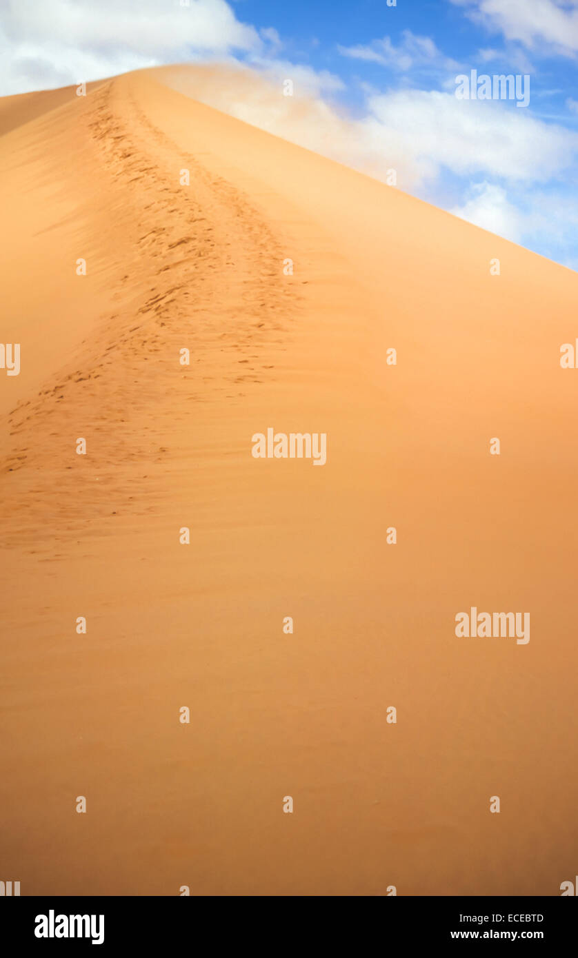 Namib desert namib naukluft national park hi-res stock photography and ...
