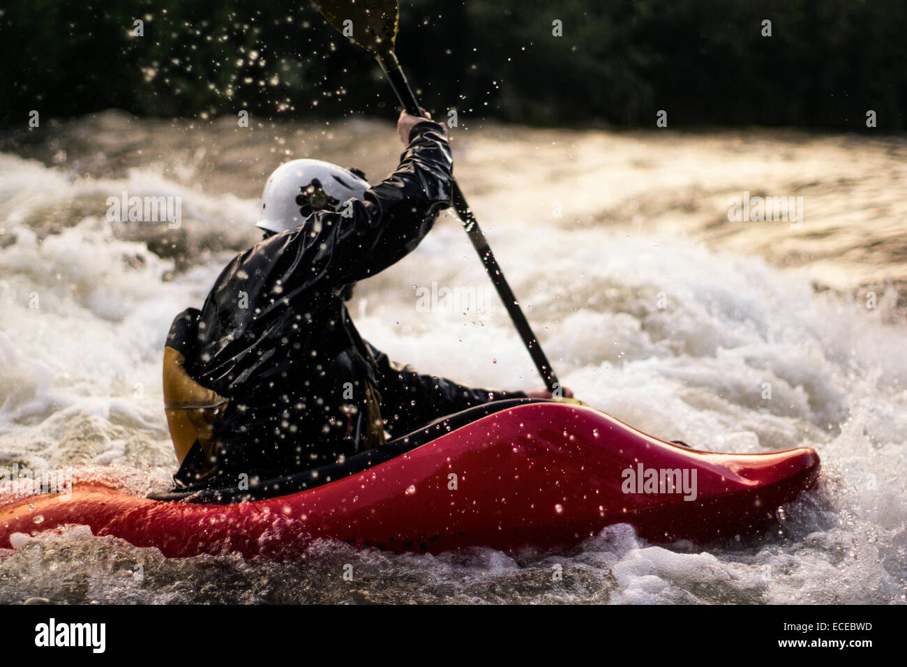 USA, Colorado, Clear Creek, Close-up shot of man kayaking in white water Stock Photo