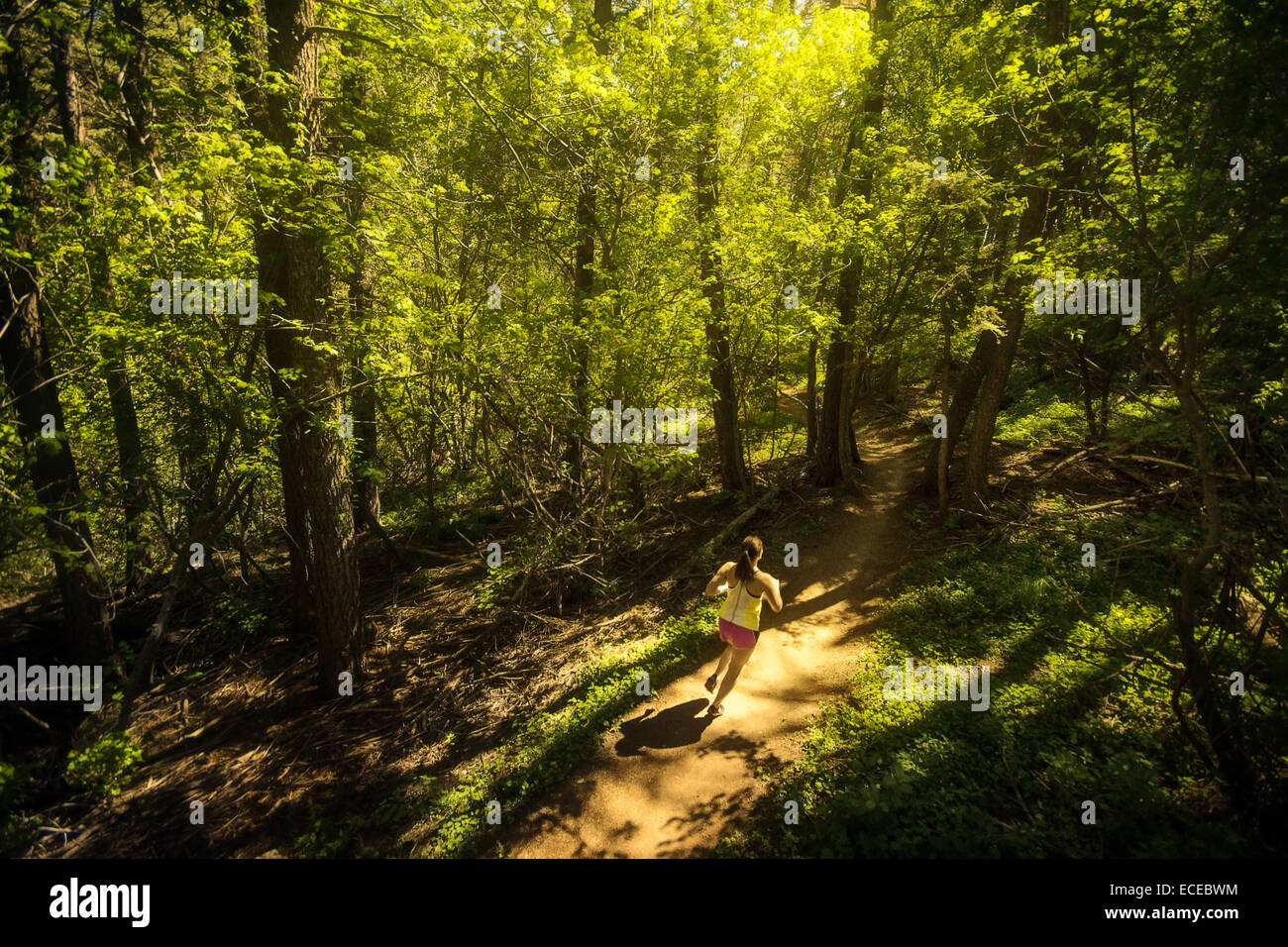 USA, Colorado, Golden, Woman trail running through forest Stock Photo