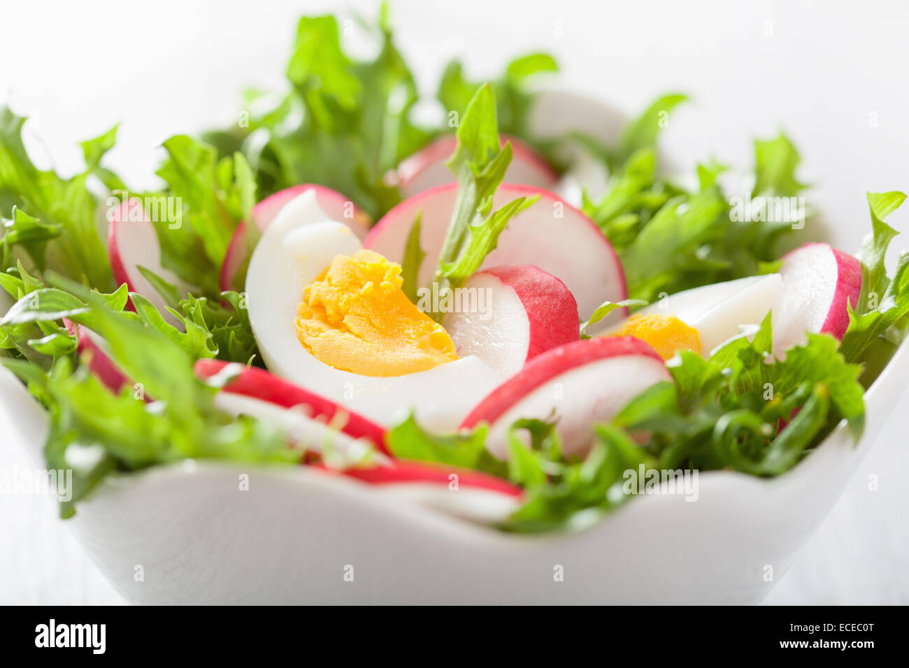 healthy salad with egg radish and green leaves Stock Photo