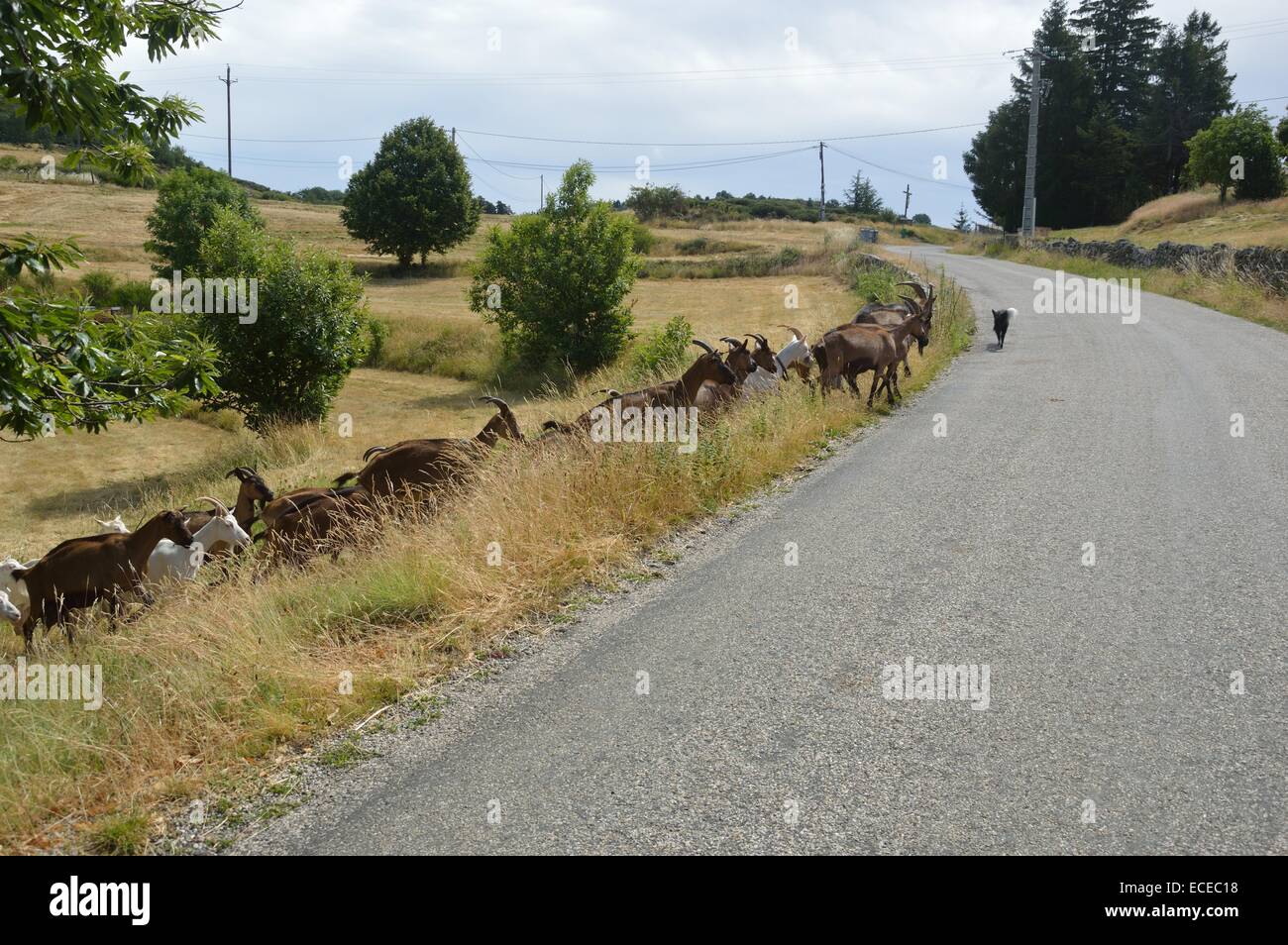 Southern France Rural The rural Ardeche region of southern France Stock Photo - Alamy