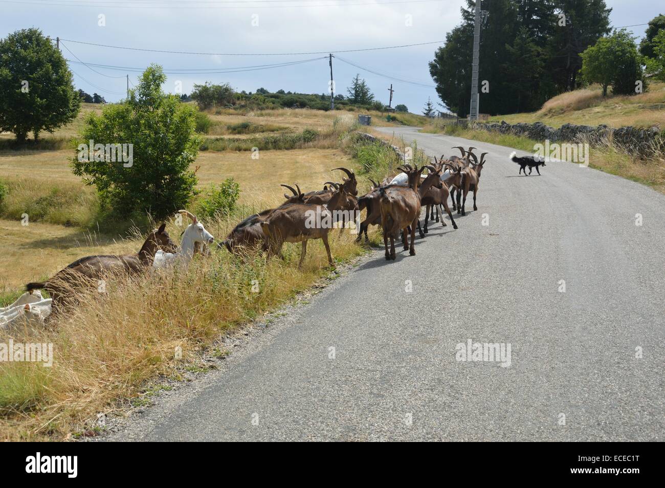 Southern France Rural The rural Ardeche region of southern France Stock Photo - Alamy