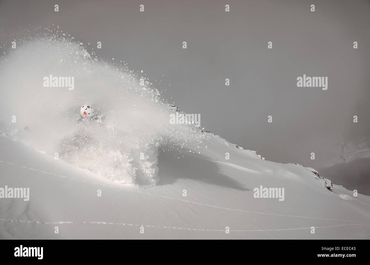 Austria, Salzburg, Gastein, Skier descending slope in cloud of powder snow Stock Photo