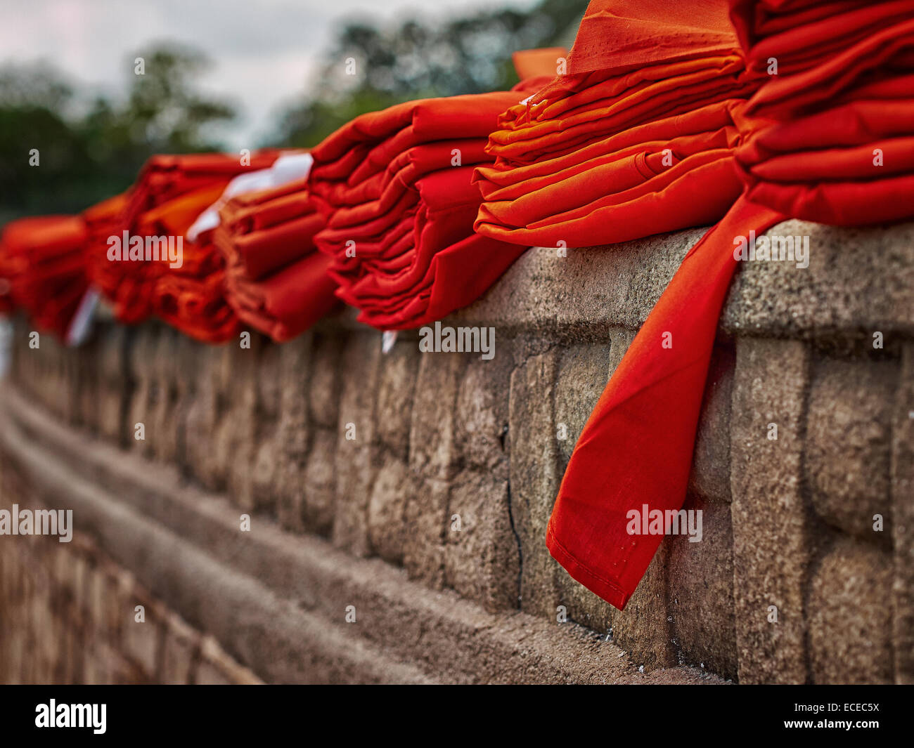 Red monks robes on wall, Anuradhapura, Sri Lanka Stock Photo