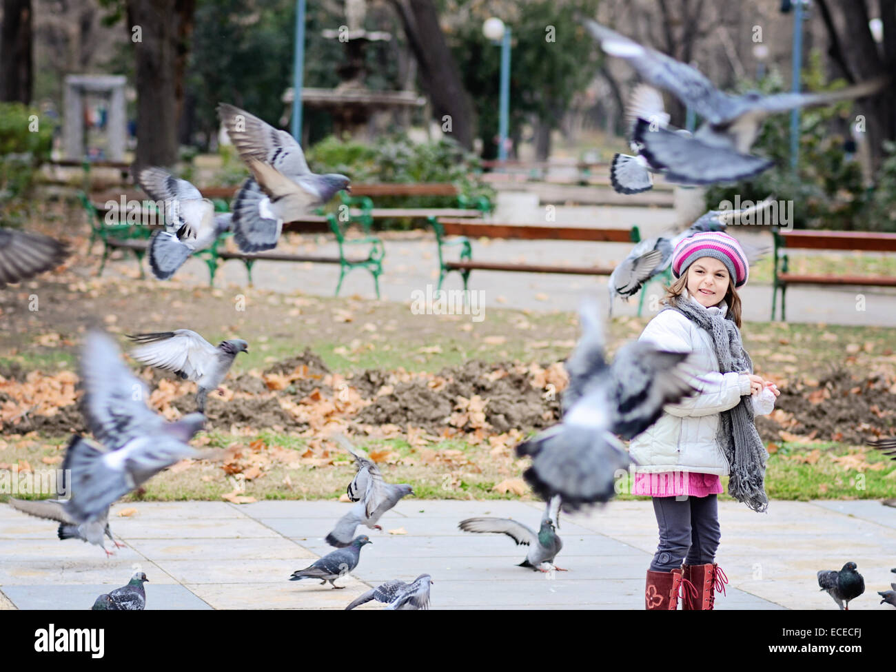 Girl (6-7) feeding pigeons Stock Photo