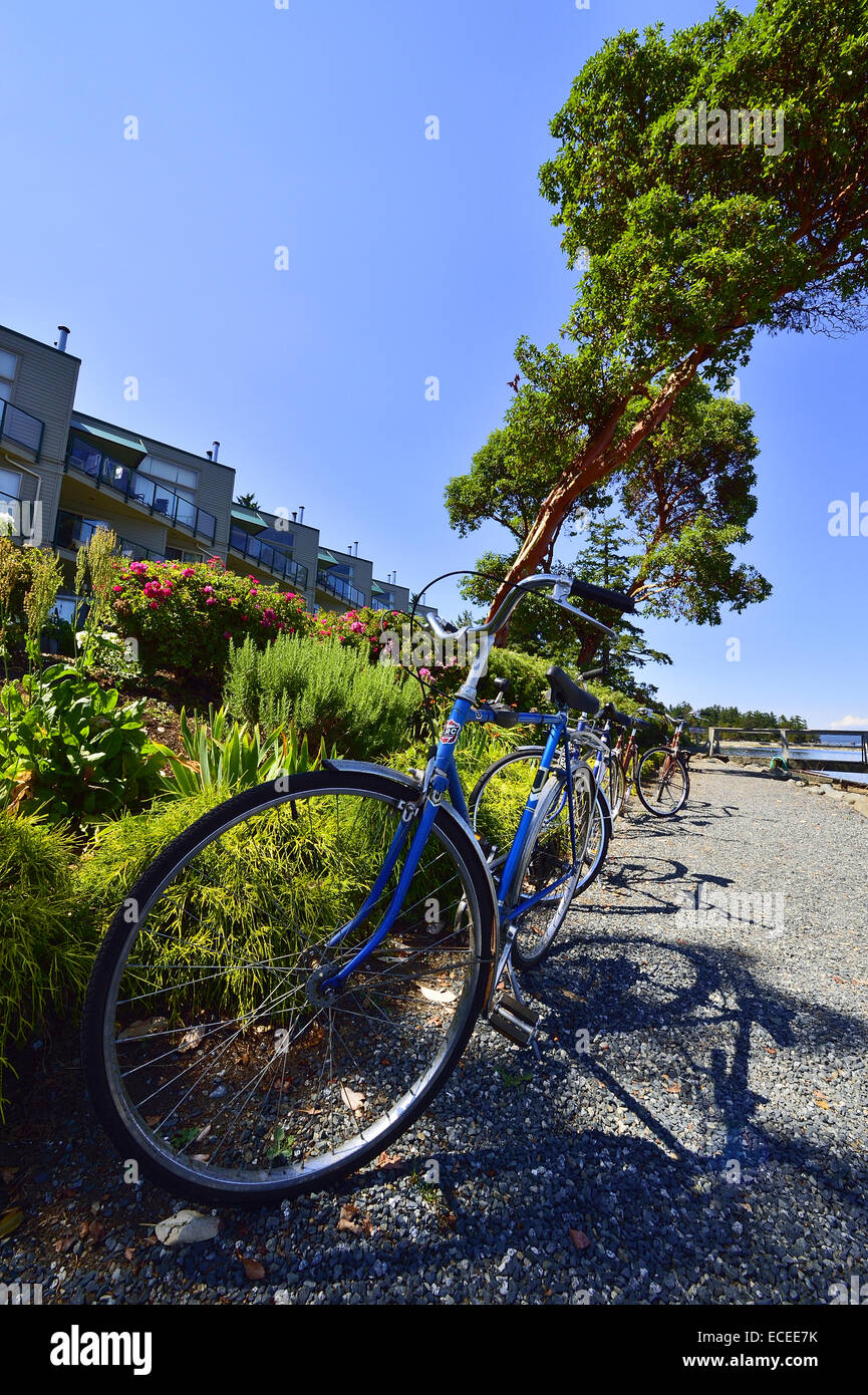 A vertical image of  bicycles parked on a walking path Stock Photo