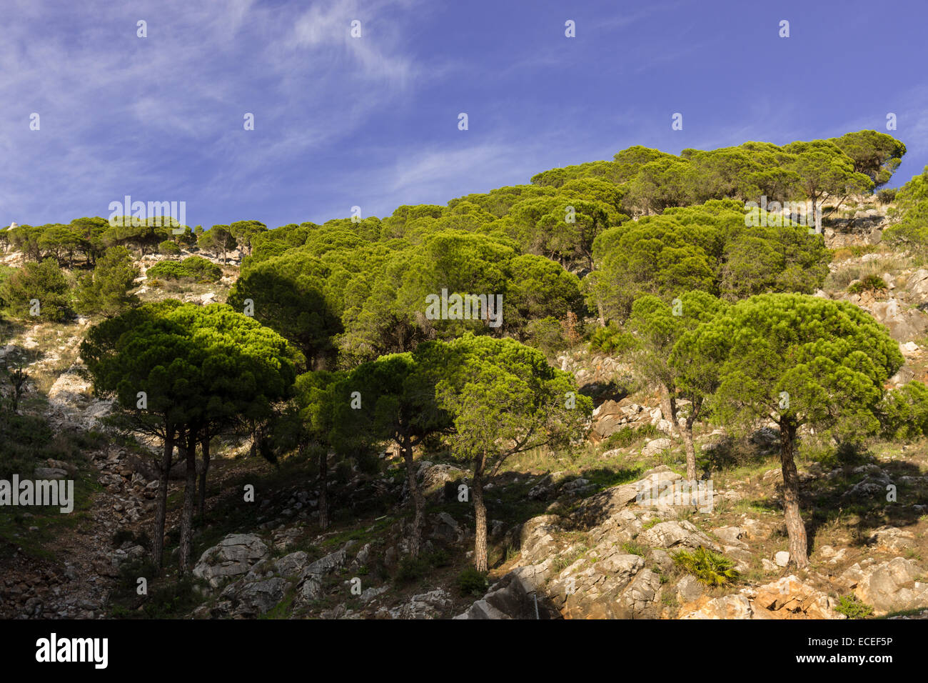 Rocky hillside hi-res stock photography and images - Alamy