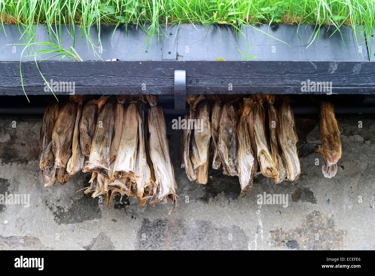 Fish dries in village of Tjørnuvík, Streymoy, Faroe Islands Stock Photo