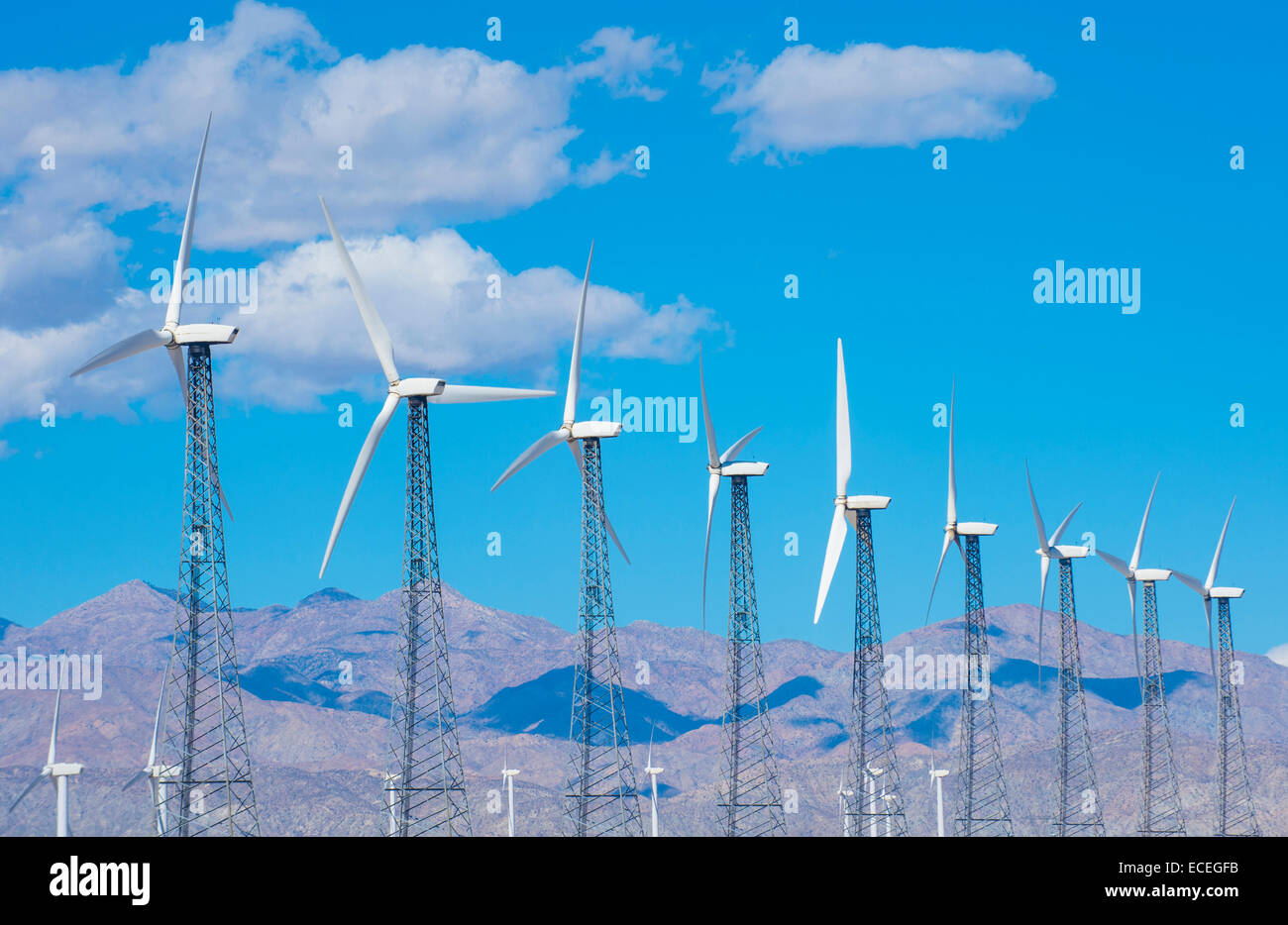 Group of windmills for renewable electric energy production in Palms