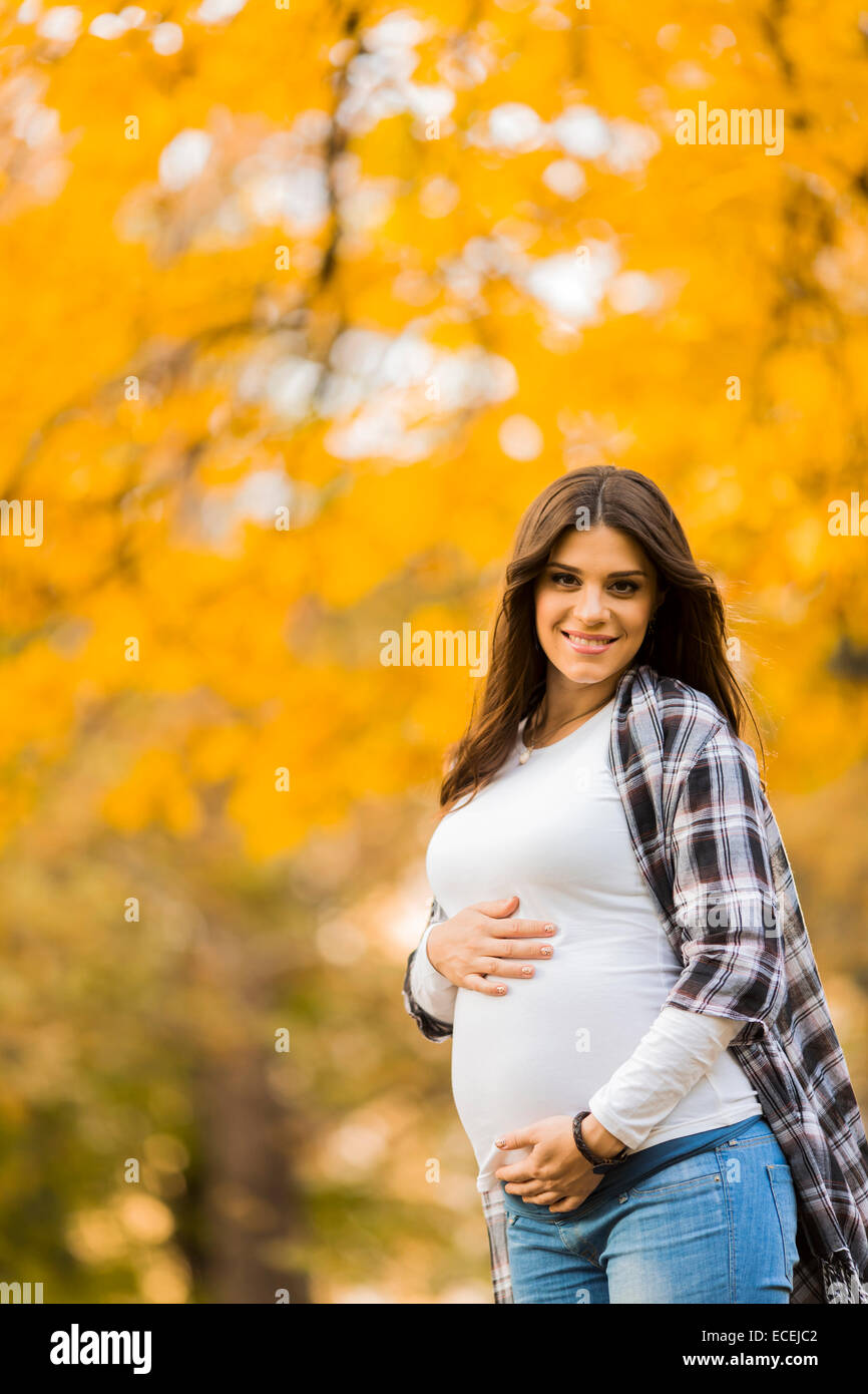 Young pregnant woman in the autumn park Stock Photo - Alamy