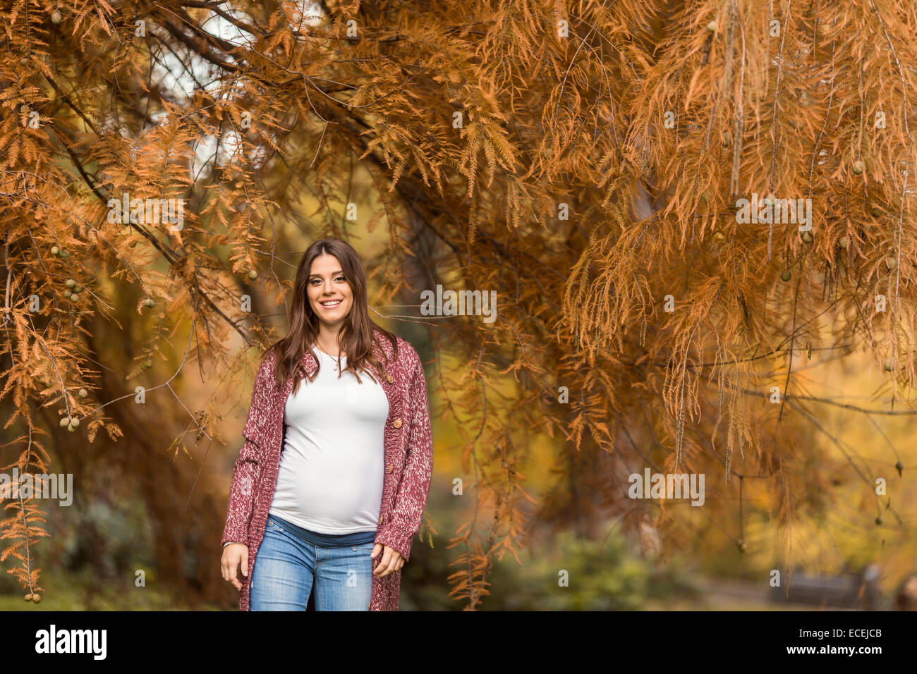 Young pregnant woman in the autumn park Stock Photo - Alamy