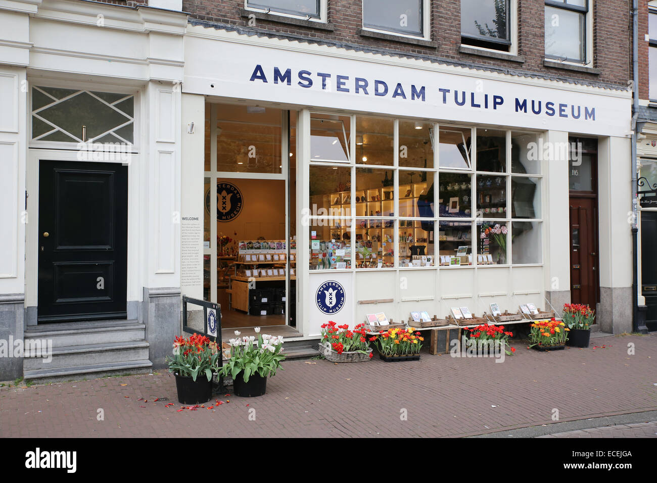 amsterdam tulip museum Stock Photo Alamy